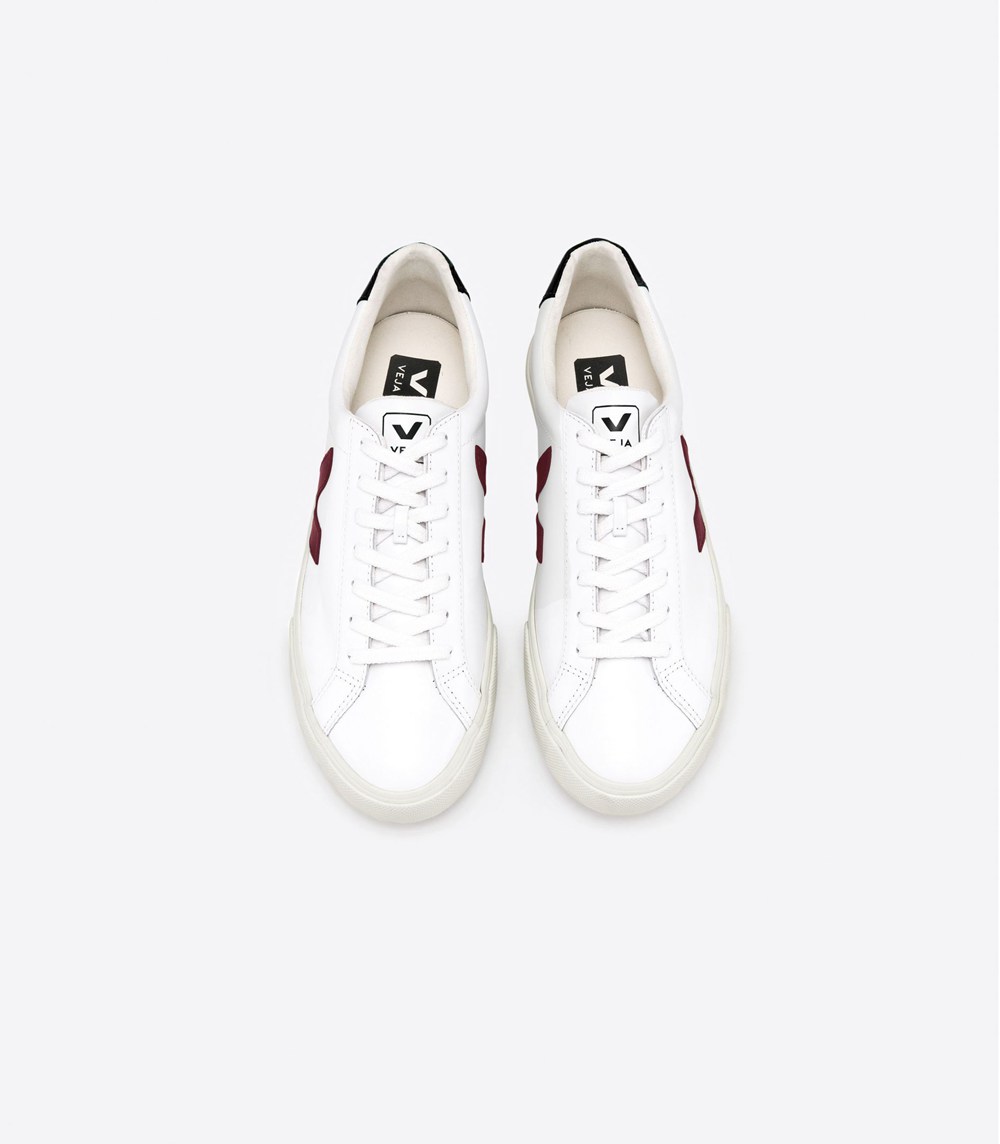 Tenis Veja Mujer - Esplar Cuero - Blancos - 421VWQKMD